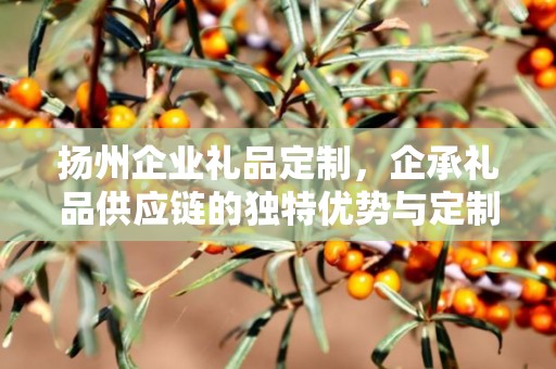扬州企业礼品定制，企承礼品供应链的独特优势与定制之旅